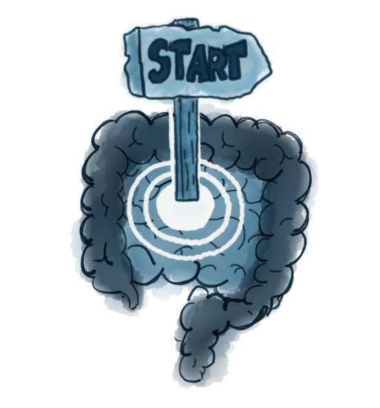 AvE – Citaat Hippocrates Bord met start erop (het beginpunt) in het darmstelsel.