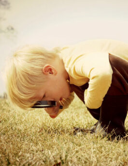 Young Child looking through Magnifying Glass Kind onderzoekt met nieuwsgierigheid, ontdekt insecten.